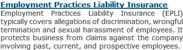 Employment Practices Liability Insurance
Employment Practices Liability Insurance (EPLI) typically covers allegations of discrimination, wrongful termination and sexual harassment of employees. It protects business from claims against the company involving past, current, and prospective employees.